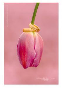 Bruidsfotografie