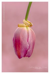 bruidsfotografie