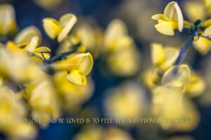 Bloemetjes met spreuk dibond