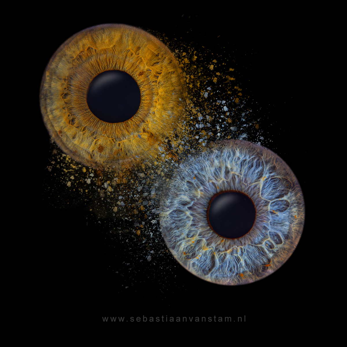 irisfoto iris fotografie irisfotografie irisfoto Schagen Noord holland